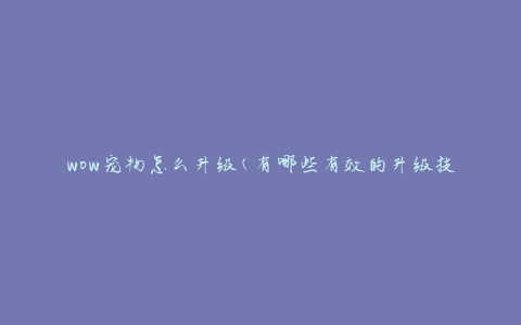 wow宠物怎么升级(有哪些有效的升级技巧)