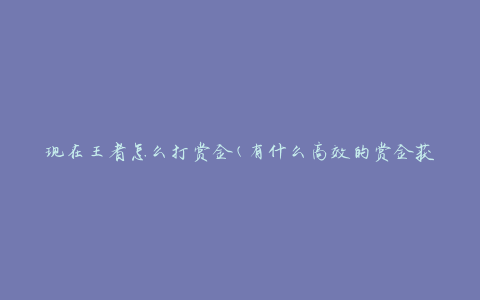 现在王者怎么打赏金(有什么高效的赏金获取方法)