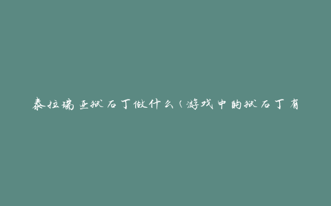 泰拉瑞亚狱石丁做什么(游戏中的狱石丁有何用途)