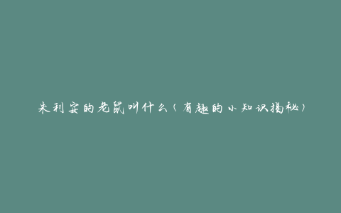 朱利安的老鼠叫什么(有趣的小知识揭秘)
