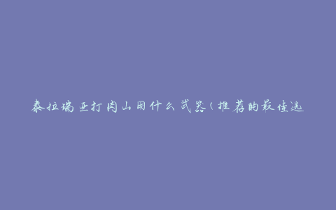 泰拉瑞亚打肉山用什么武器(推荐的最佳选择)