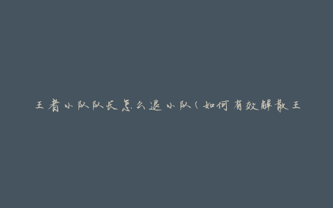 王者小队队长怎么退小队(如何有效解散王者小队)
