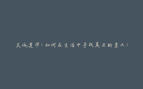 灵魂莲华(如何在生活中寻找真正的意义)