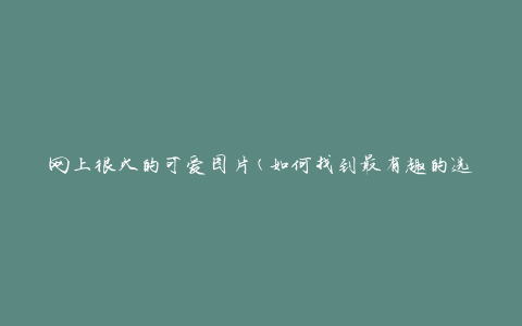 网上很火的可爱图片(如何找到最有趣的选择)