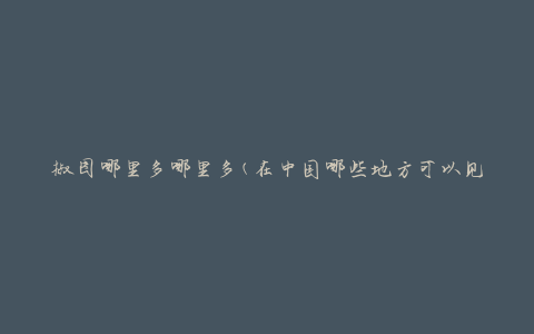 椒图哪里多哪里多(在中国哪些地方可以见到椒图的身影)