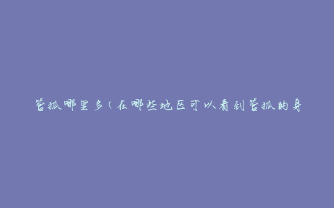 管狐哪里多(在哪些地区可以看到管狐的身影)