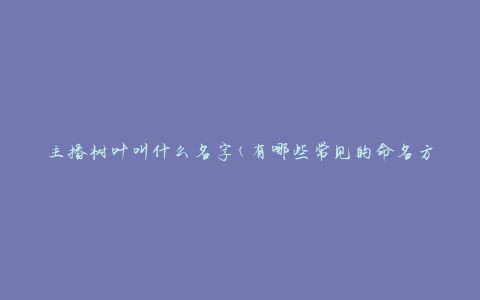 主播树叶叫什么名字(有哪些常见的命名方式)