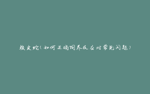 赖皮蛇(如何正确饲养及应对常见问题)
