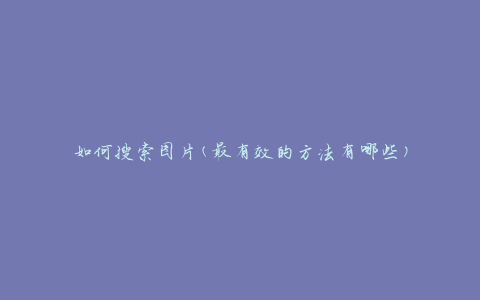 如何搜索图片(最有效的方法有哪些)