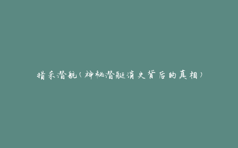 猎杀潜航(神秘潜艇消失背后的真相)