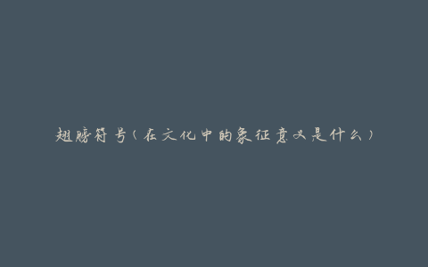 翅膀符号(在文化中的象征意义是什么)