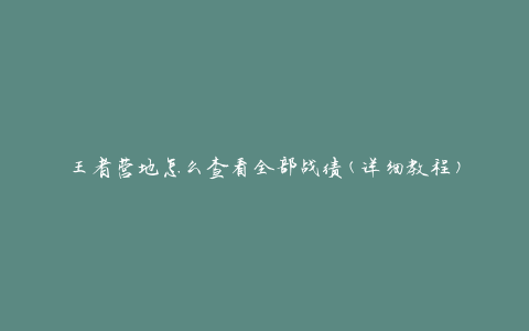 王者营地怎么查看全部战绩(详细教程)