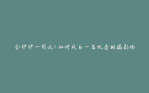 金铲铲一图流(如何成为一名优秀的摄影师)