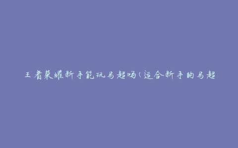 王者荣耀新手能玩马超吗(适合新手的马超使用攻略)