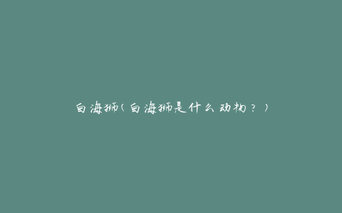 白海狮(白海狮是什么动物？)