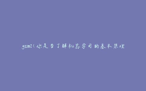 ysml(你是否了解机器学习的基本原理)