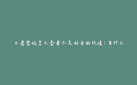 王者营地怎么查看不是好友的战绩(有什么方法可以快速了解)