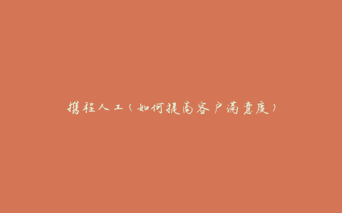 携程人工(如何提高客户满意度)