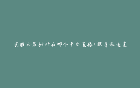 国服孙策树叶在哪个平台直播(探寻最佳直播平台选择)