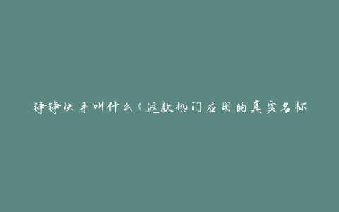 铮铮快手叫什么(这款热门应用的真实名称是什么)