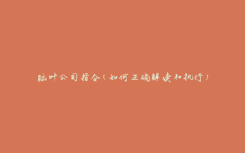 脑叶公司指令(如何正确解读和执行)