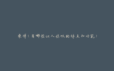 桑博(有哪些让人惊叹的特点和功能)
