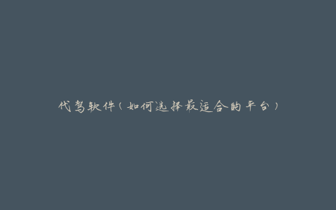 代驾软件(如何选择最适合的平台)