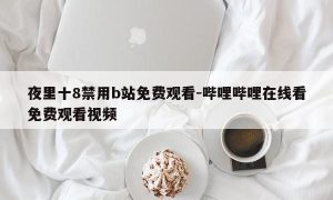 夜里十8禁用b站免费观看-哔哩哔哩在线看免费观看视频