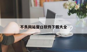 不良网站窗口软件下载大全