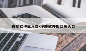 良娣软件库入口-冷眸软件库网页入口
