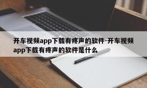 开车视频app下载有疼声的软件-开车视频app下载有疼声的软件是什么