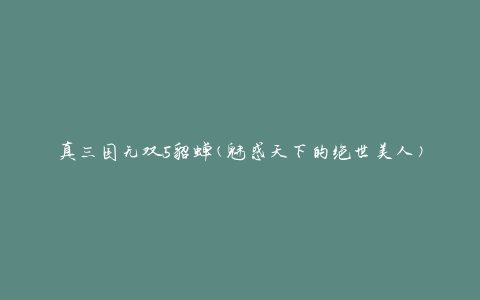 真三国无双5貂蝉(魅惑天下的绝世美人)