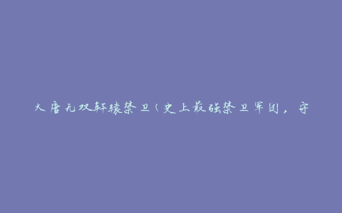 大唐无双轩辕禁卫(史上最强禁卫军团，守护帝国繁荣不倒的传奇)