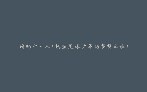 闪电十一人(热血足球少年的梦想之旅)
