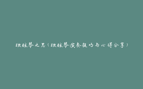 独弦琴之思(独弦琴演奏技巧与心得分享)