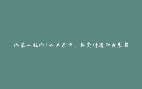 桥梁工程师(从业条件、薪资待遇和发展前景)