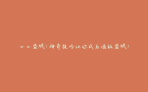 小小盗贼(神奇技巧让你成为顶级盗贼)