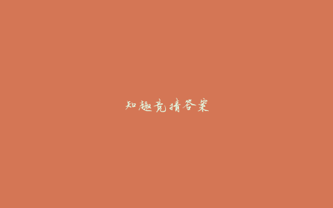 知趣竞猜答案