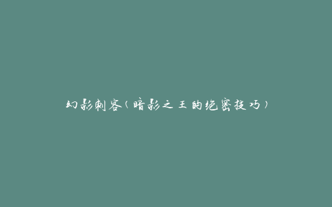 幻影刺客(暗影之王的绝密技巧)