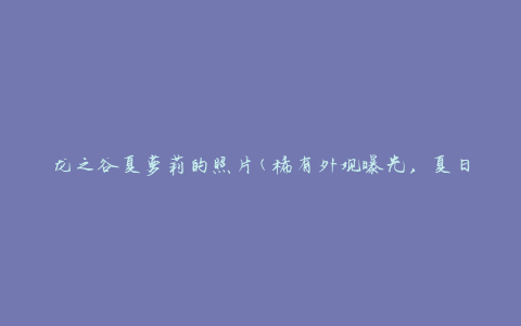 龙之谷夏萝莉的照片(稀有外观曝光，夏日清凉美少女)