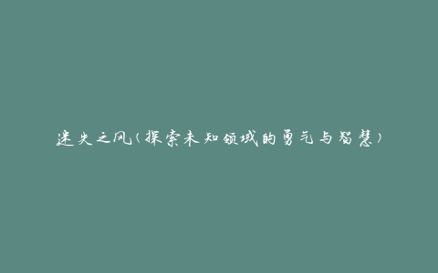 迷失之风(探索未知领域的勇气与智慧)