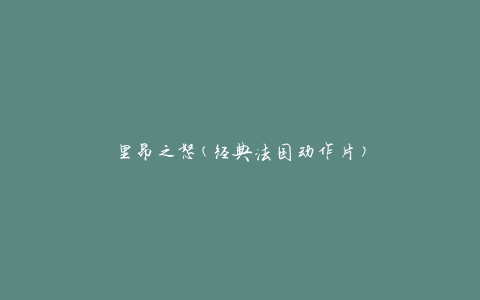 里昂之怒(经典法国动作片)