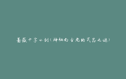 蔷薇十字小剑(神秘而古老的武器之谜)