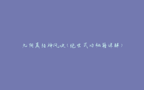 九阴真经神风诀(绝世武功秘籍详解)