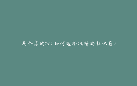 两个字的id(如何选择独特的标识符)