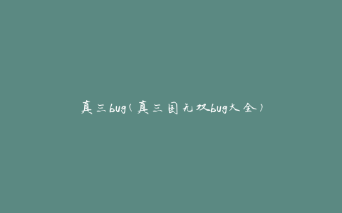 真三bug(真三国无双bug大全)