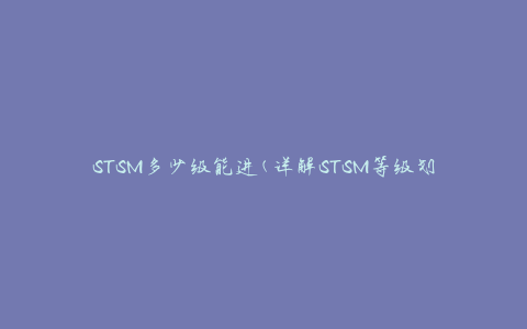 STSM多少级能进(详解STSM等级划分及要求)