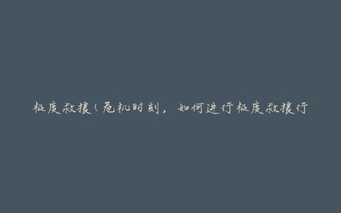 极度救援(危机时刻，如何进行极度救援行动)