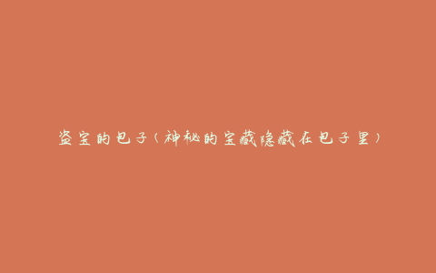 盗宝的包子(神秘的宝藏隐藏在包子里)
