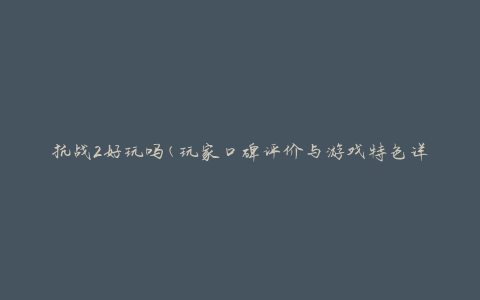 抗战2好玩吗(玩家口碑评价与游戏特色详解)